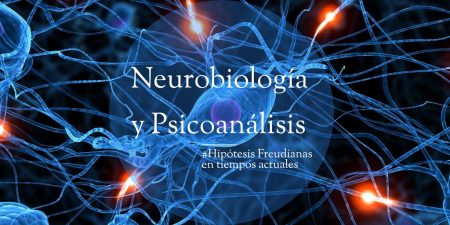 Psicoanálisis y Neurobiología 