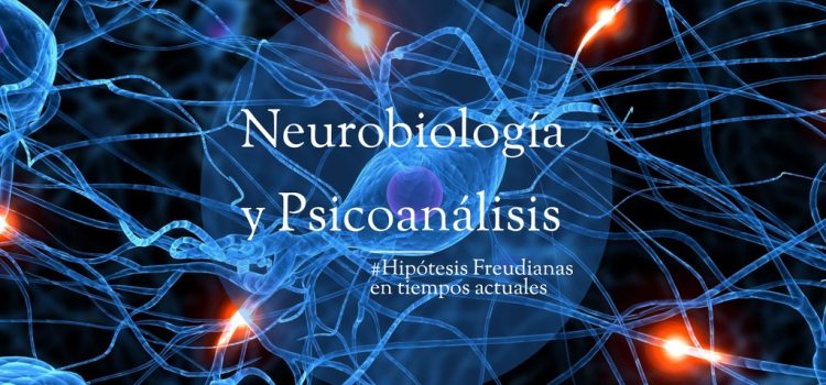 Psicoanálisis y Neurobiología Psicología. Psicologos Tenerife