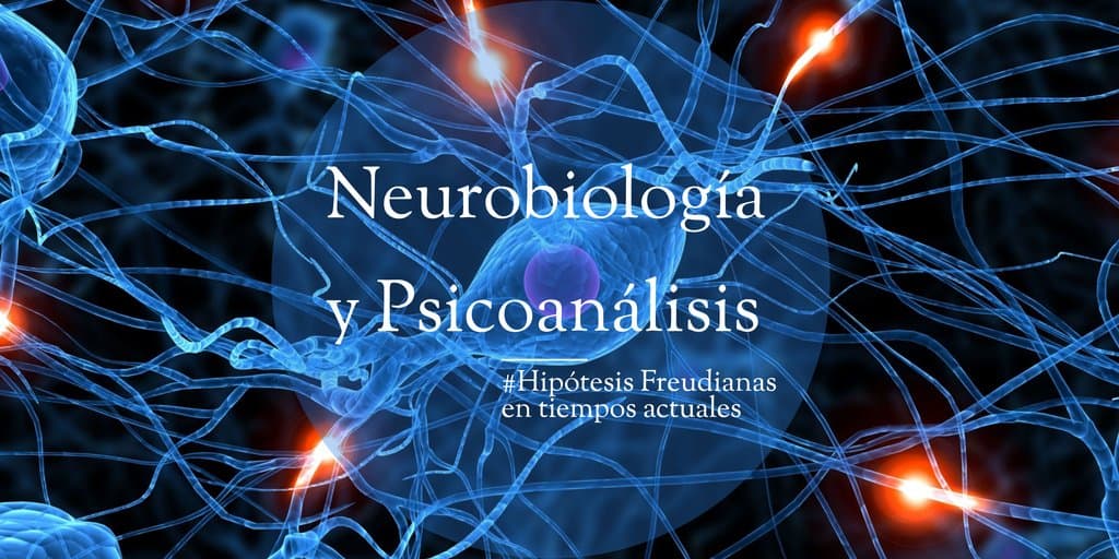 Psicoanálisis y Neurobiología Psicología. Psicologos Tenerife