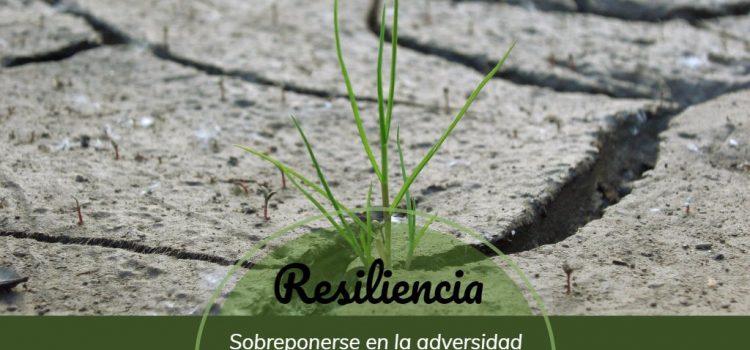 resiliencia