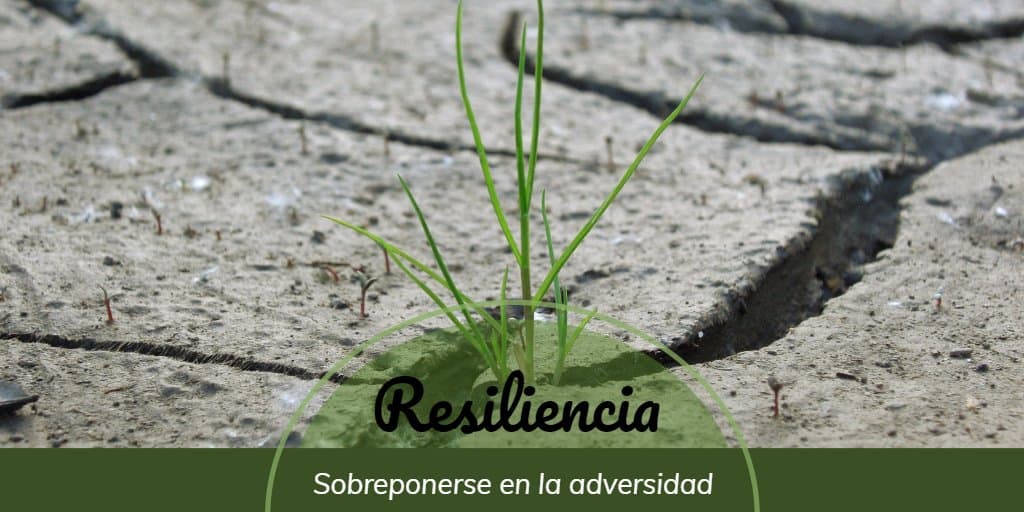 resiliencia